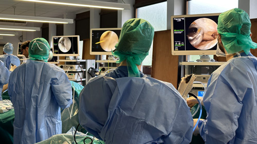 PCO 2025 ESSKA Pre-course: A day of practical sessions in a dynamic learning environment 