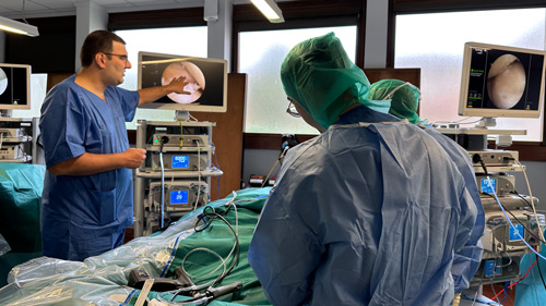 PCO 2025 ESSKA Pre-course: A day of practical sessions in a dynamic learning environment 