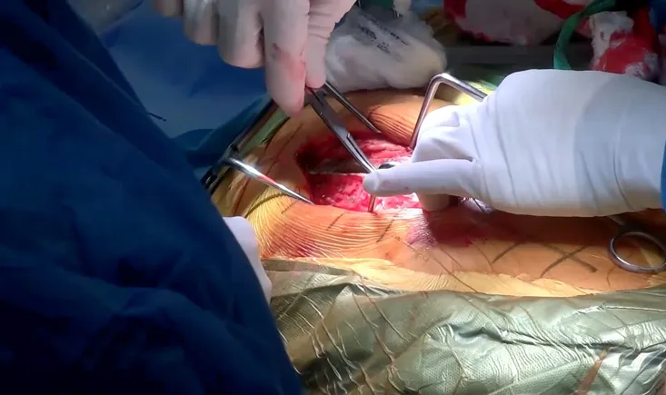 PCO Tour: Ran Schwarzkopf